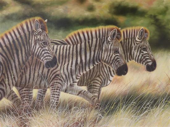 Zhoukans, oil on canvas, Zebras, signed and dated 2002 74 x 100cm